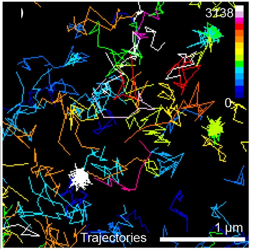 Open access visualization of Line Plot, HEK293 Cells, GHR-WT(FL)-mEOS2, TIRF Image, Diffusion Coefficient