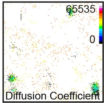 Open access visualization of Scatter Plot, HEK293 Cells, GHR-WT(FL)-mEOS2, TIRF Image, Diffusion Coefficient