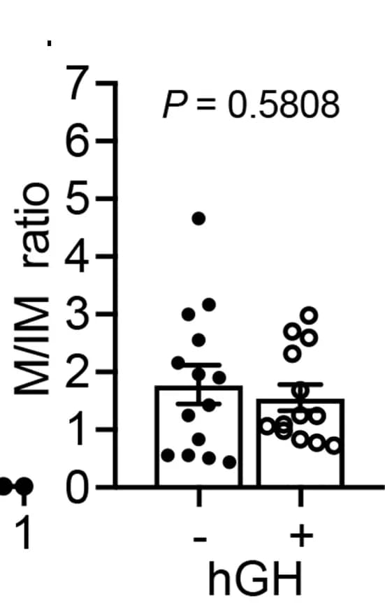 Open access visualization of Bar Plot, Error Bars, Scatter Plot, Mobile-to-Immobile Ratios, hGH