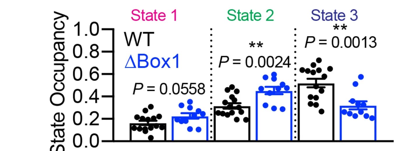 Open access visualization of Bar Plot, Error Bars, Scatter Plot, State Occupancies, GHR-WT(322)-mEOS2 Trajectories