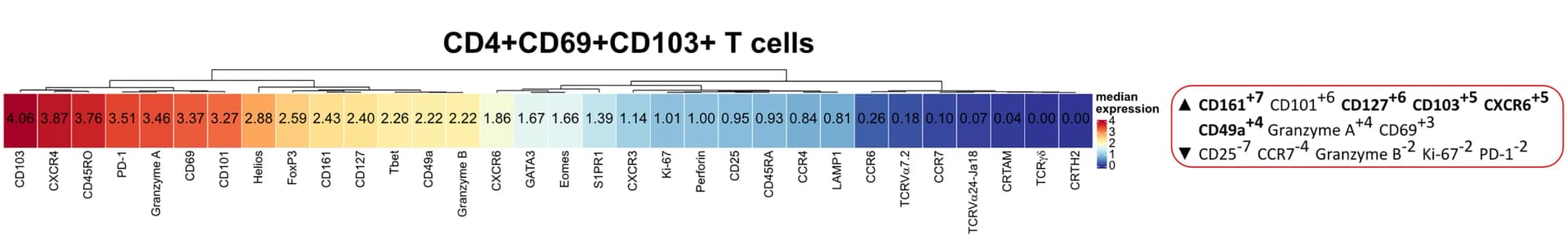 Open access visualization of Heatmap, Clustered, CD4+CD69+CD103+ TRM Cell Population, Markers