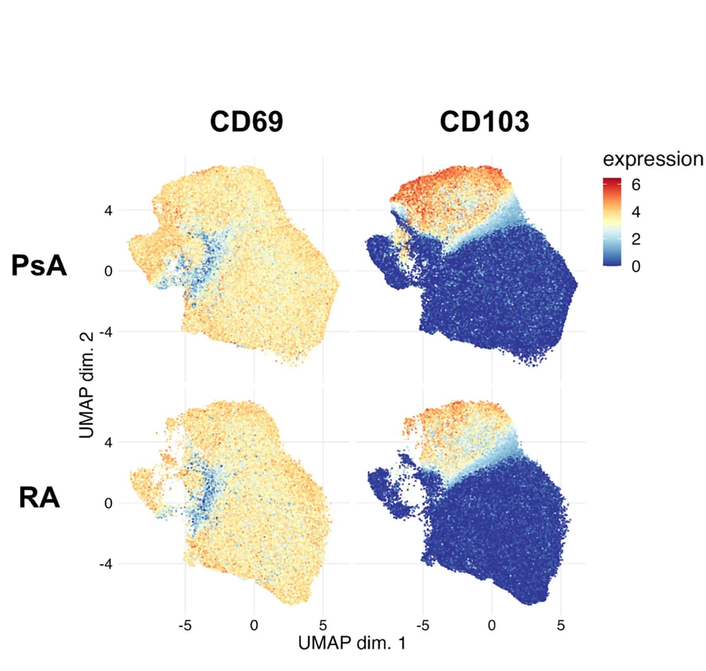 Open access visualization of UMAP, Scatter Plot, CD8+ T Cells, Psoriatic Arthritis, Rheumatoid Arthritis