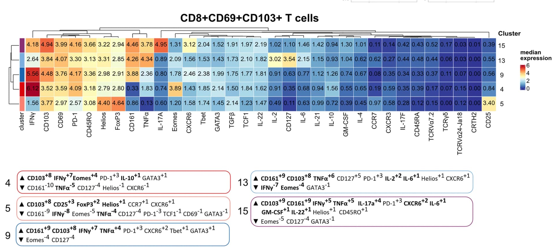 Open access visualization of Heatmap, Clustered, Marker Intensities, TRM Cell Populations, CD8+CD69+CD103+ TRM Cell Populations