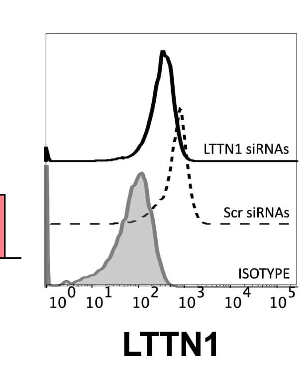 Open access visualization of Density Plot, Line Plot, LTTN1 Expression, T Lymphocytes, siRNAs