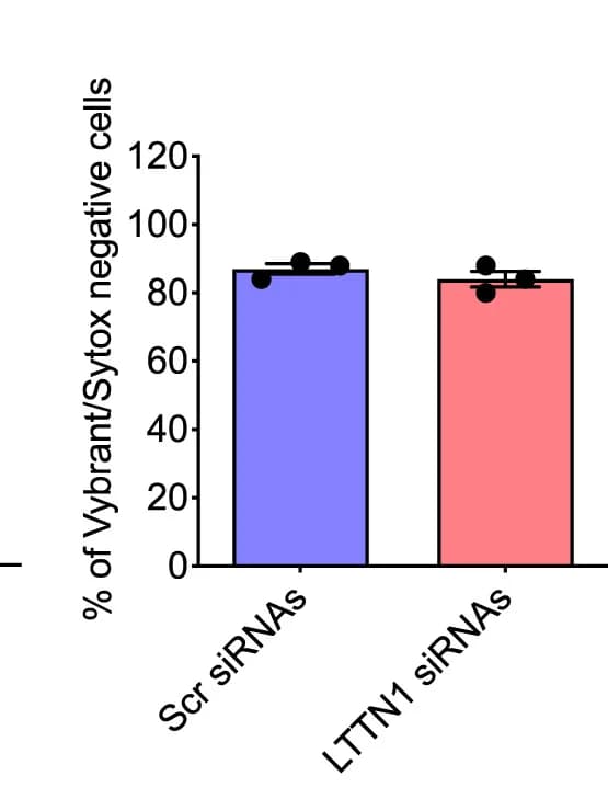 Open access visualization of Bar Plot, Error Bars, T Lymphocyte Viability, T Lymphocytes