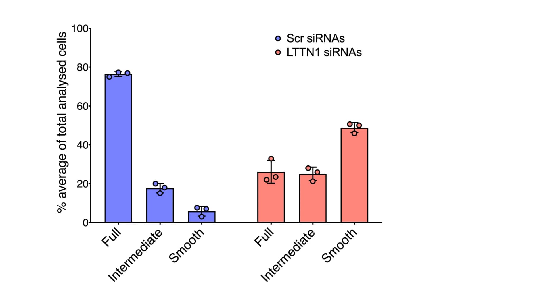 Open access visualization of Bar Plot, Error Bars, Scatter Plot, SEM Images, T Lymphocytes