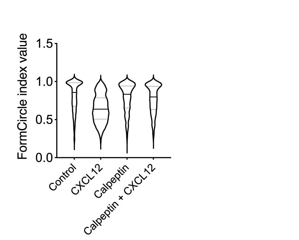 Open access visualization of Violin Plot, FormCircle Index, T Lymphocytes, CXCL12 Stimulation, Calpeptin Pre-treatment