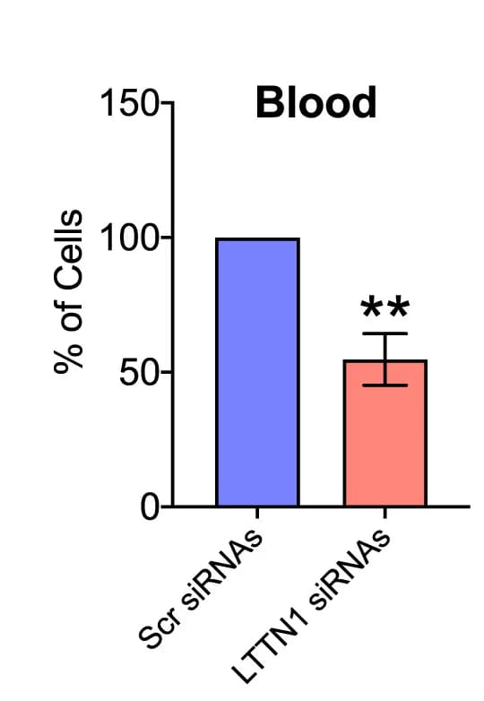 Open access visualization of Bar Plot, Error Bars, T Lymphocytes, Mouse Blood, Lung Lysates
