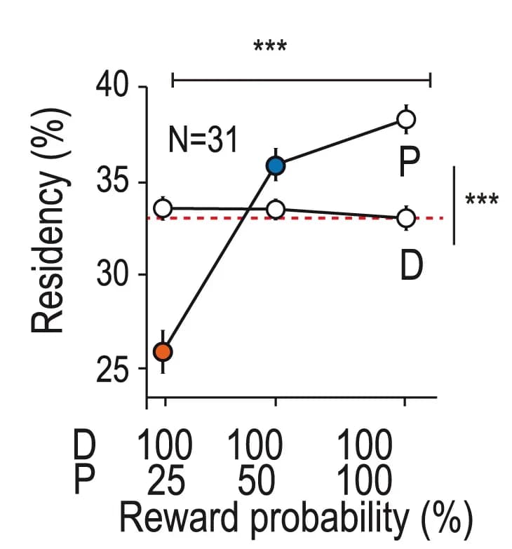 Open access visualization of Line Plot, Error Bars, Reward Probability, Probabilistic Context, Deterministic Context