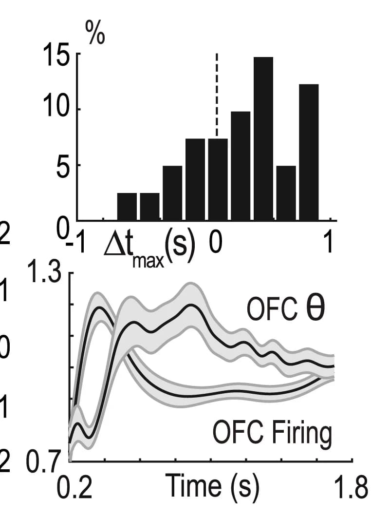 Open access visualization of Histogram, Line Plot, Error Bars, Time Lag, OFC