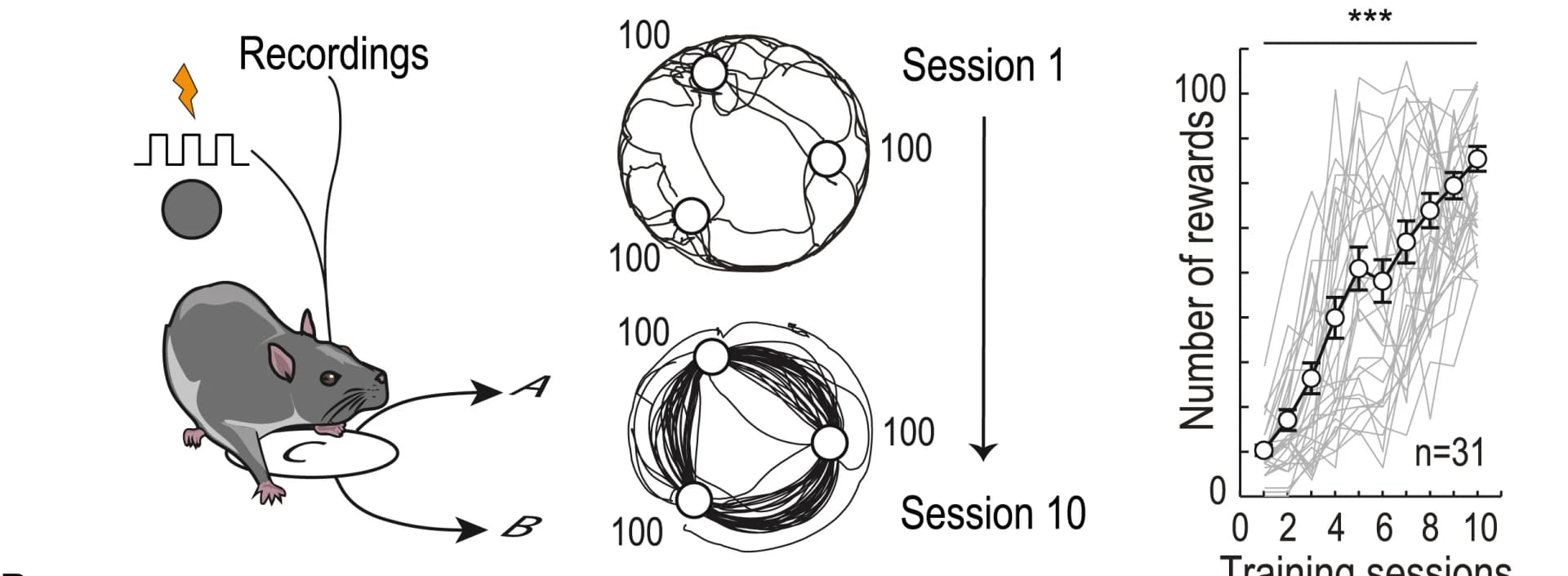 Open access visualization of Line Plot, Error Bars, Learning, Reward, ANOVA