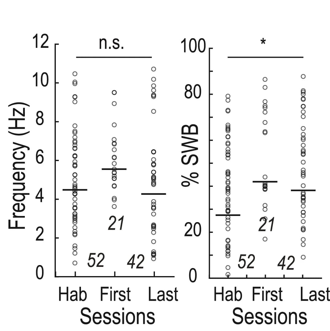 Open access visualization of Scatter Plot, Error Bars, Firing Frequency, Spikes within Bursts, Learning
