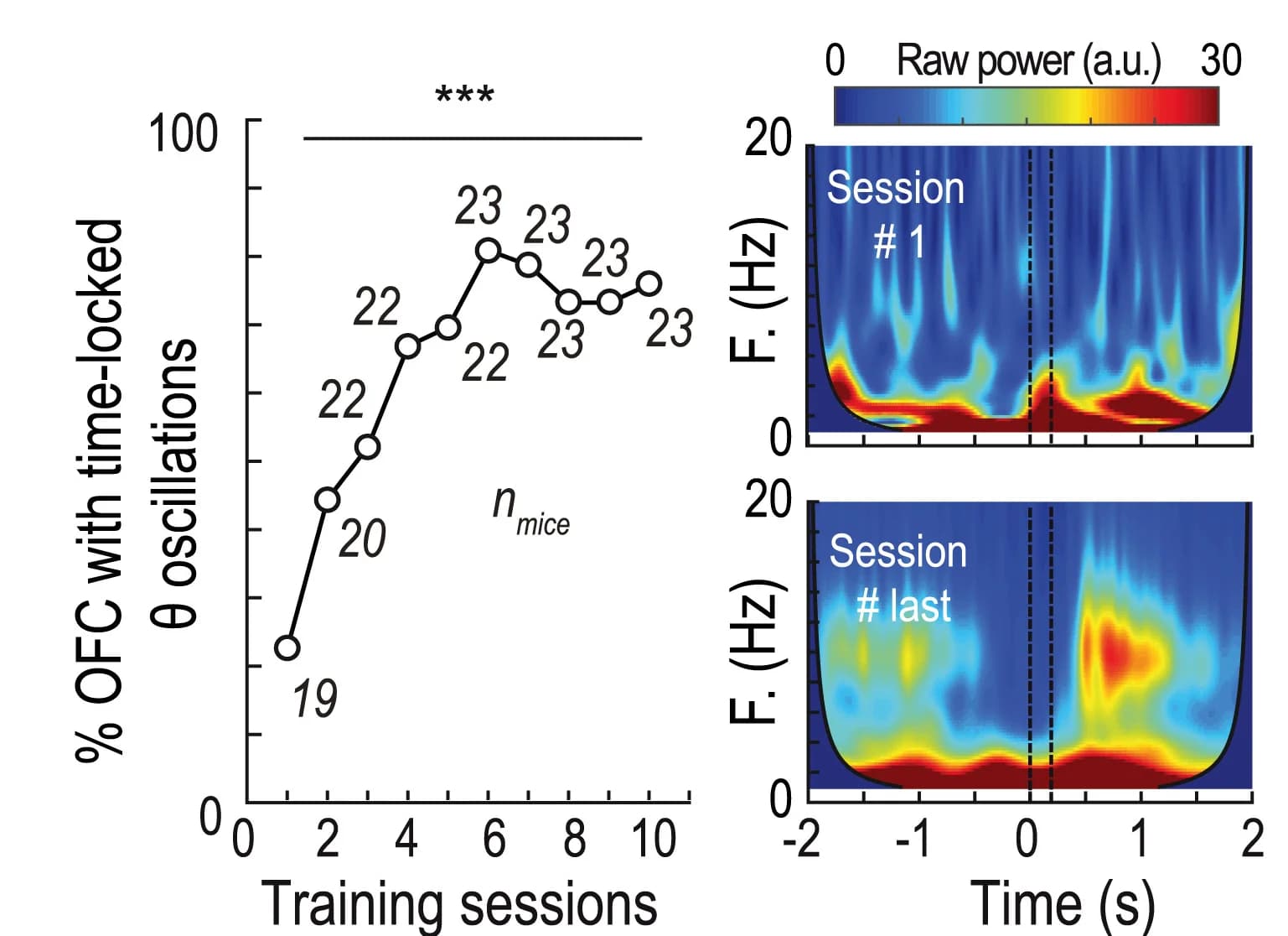 Open access visualization of Line Plot, Heatmap, Spectrogram, OFC theta Power, Learning Sessions