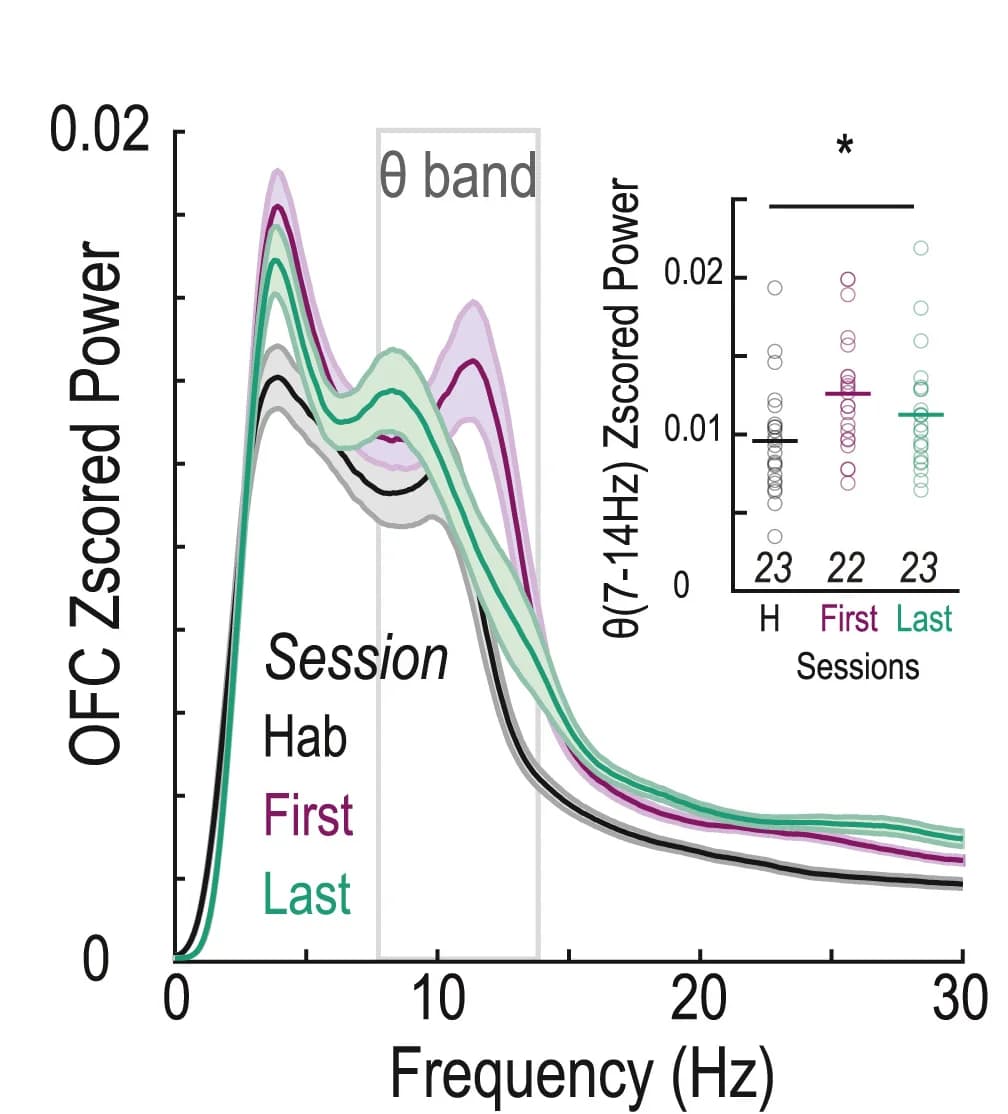 Open access visualization of Line Plot, Error Bars, Scatter Plot, Fourier Transform Spectra, OFC