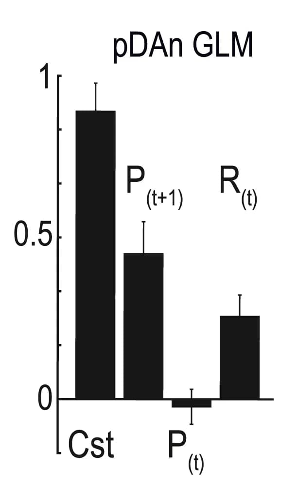 Open access visualization of Bar Plot, Error Bars, GLM, VTA pDAn Firing, Context