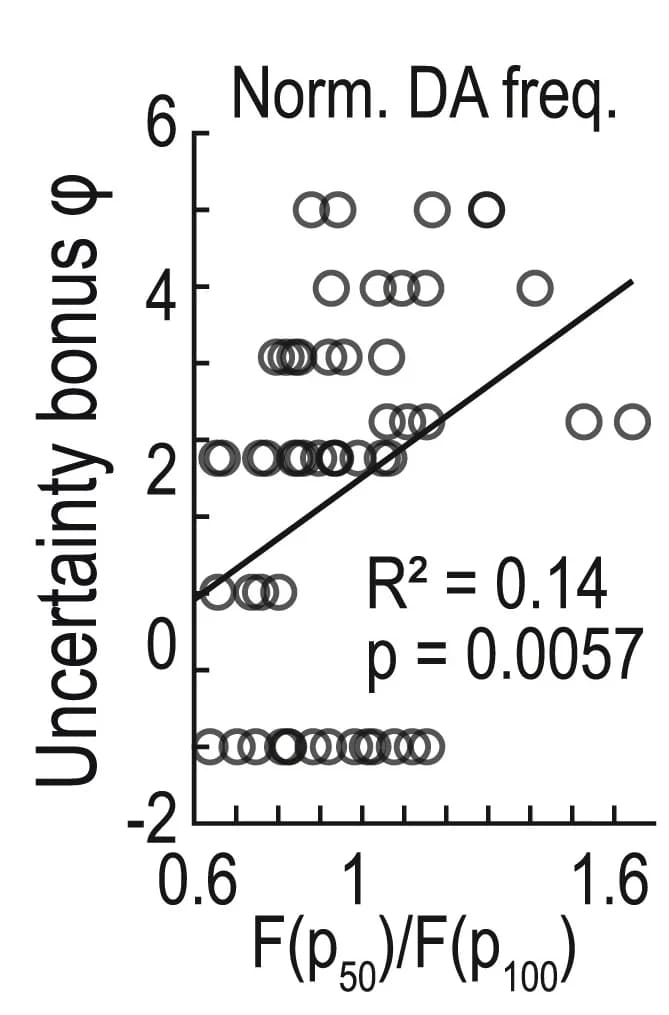 Open access visualization of Scatter Plot, Regression Plot, Uncertainty Encoding, pDAns, Reward Probability