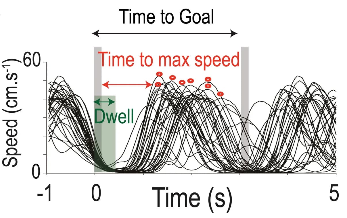 Open access visualization of Line Plot, Speed profile, ICSS durations, Firing frequency, Trials