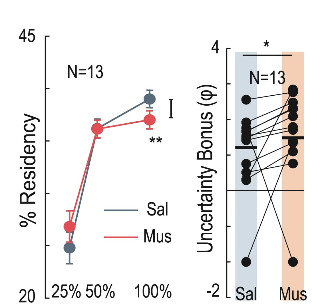 Open access visualization of Line Plot, Error Bars, Scatter Plot, Muscimol, Saline