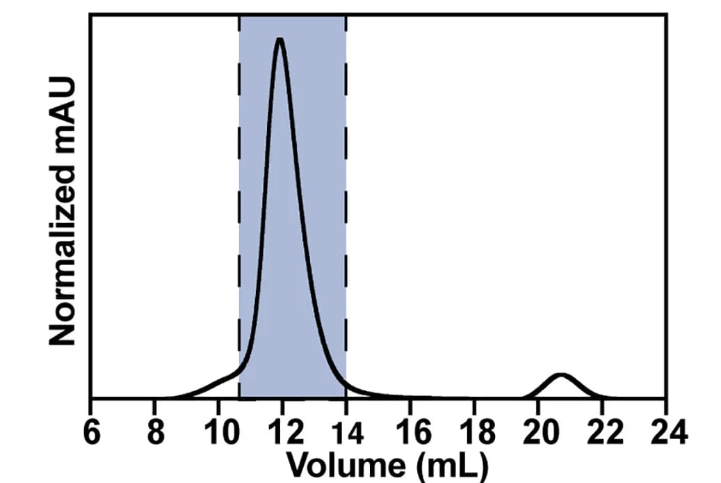 Open access visualization of Line Plot, Size-Exclusion Chromatography, SEC, GPC-I53-50A, Trimer