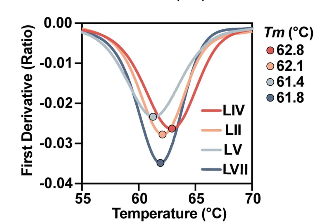 Open access visualization of Line Plot, Scatter Plot, Thermostability, GPC-I53-50A, nanoDSF