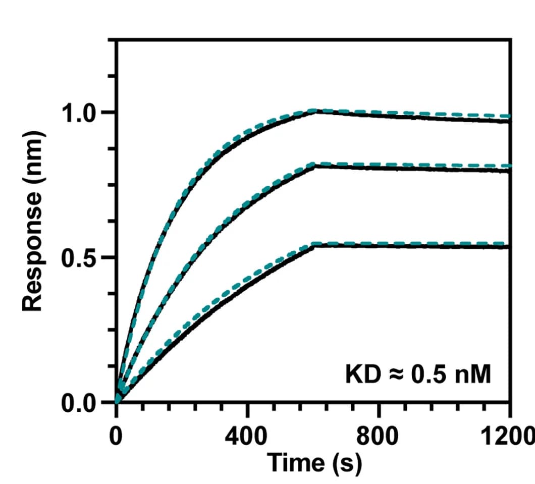 Open access visualization of Line Plot, BLI Sensorgrams, GPC-I53-50A, S370.7 IgG, Dose-dependent manner