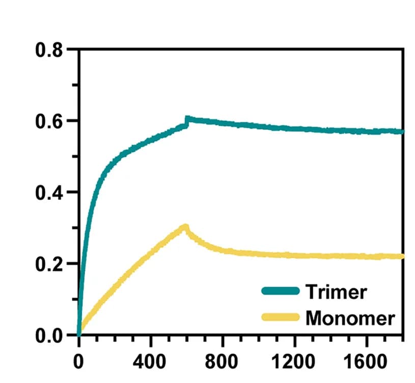 Open access visualization of Line Plot, BLI Sensorgram, S370.7 IgG, GPC Trimer, GPC Monomer