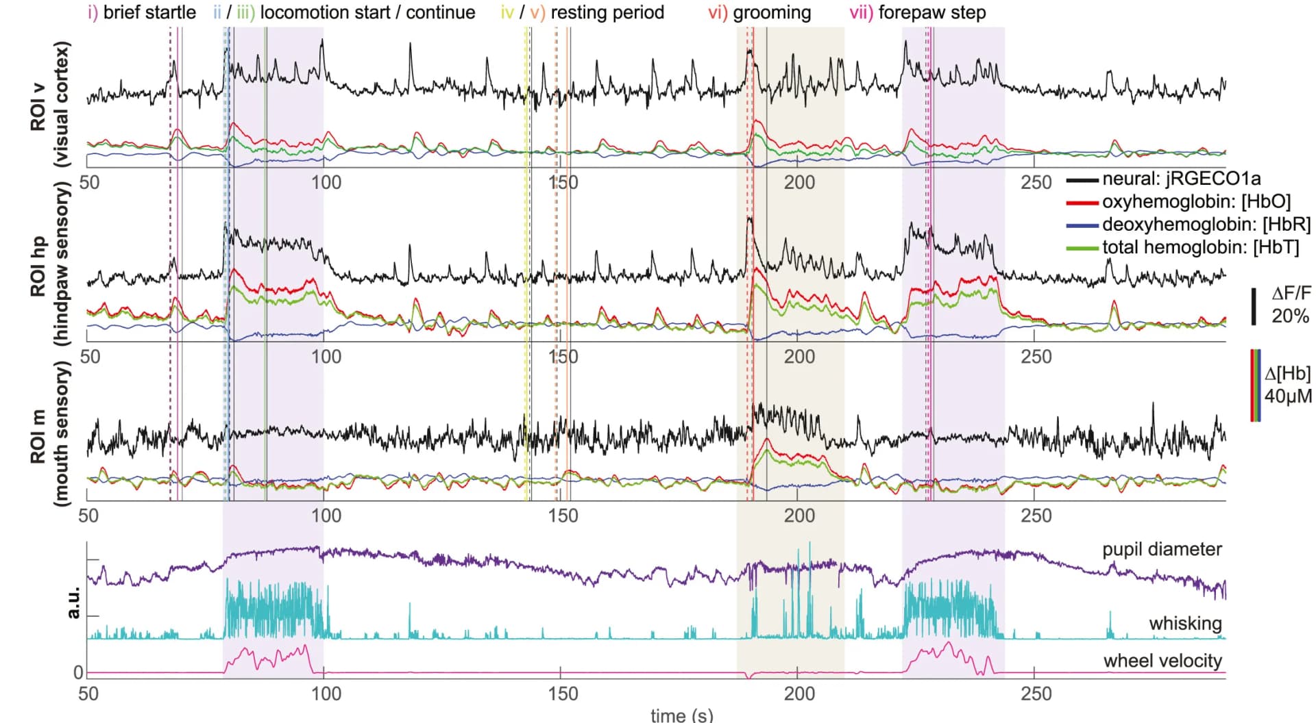 Open access visualization of Line Plot, Neural Activity, Hemodynamics, Mouth, Forepaw