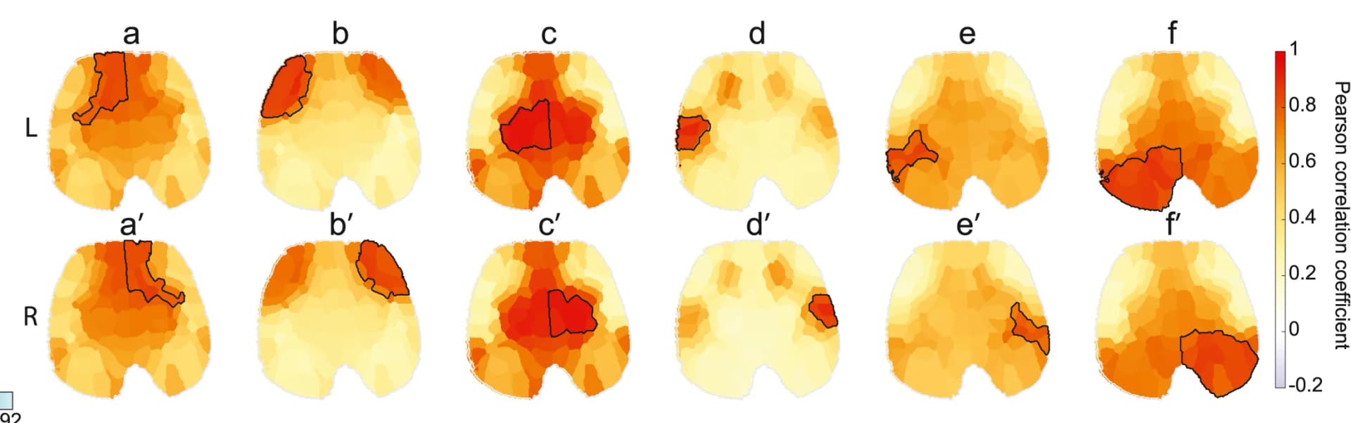 Open access visualization of Heatmap, Cortical Representations, Long-Epoch Correlation Map, Correlation Values, Subgroup