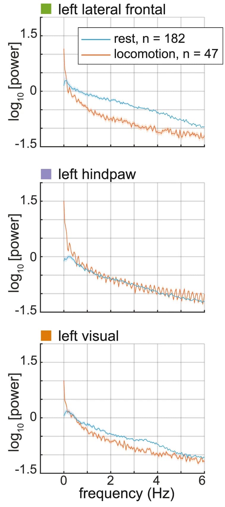 Open access visualization of Line Plot, Error Bars, Power Spectra, Neural Activity, Locomotion