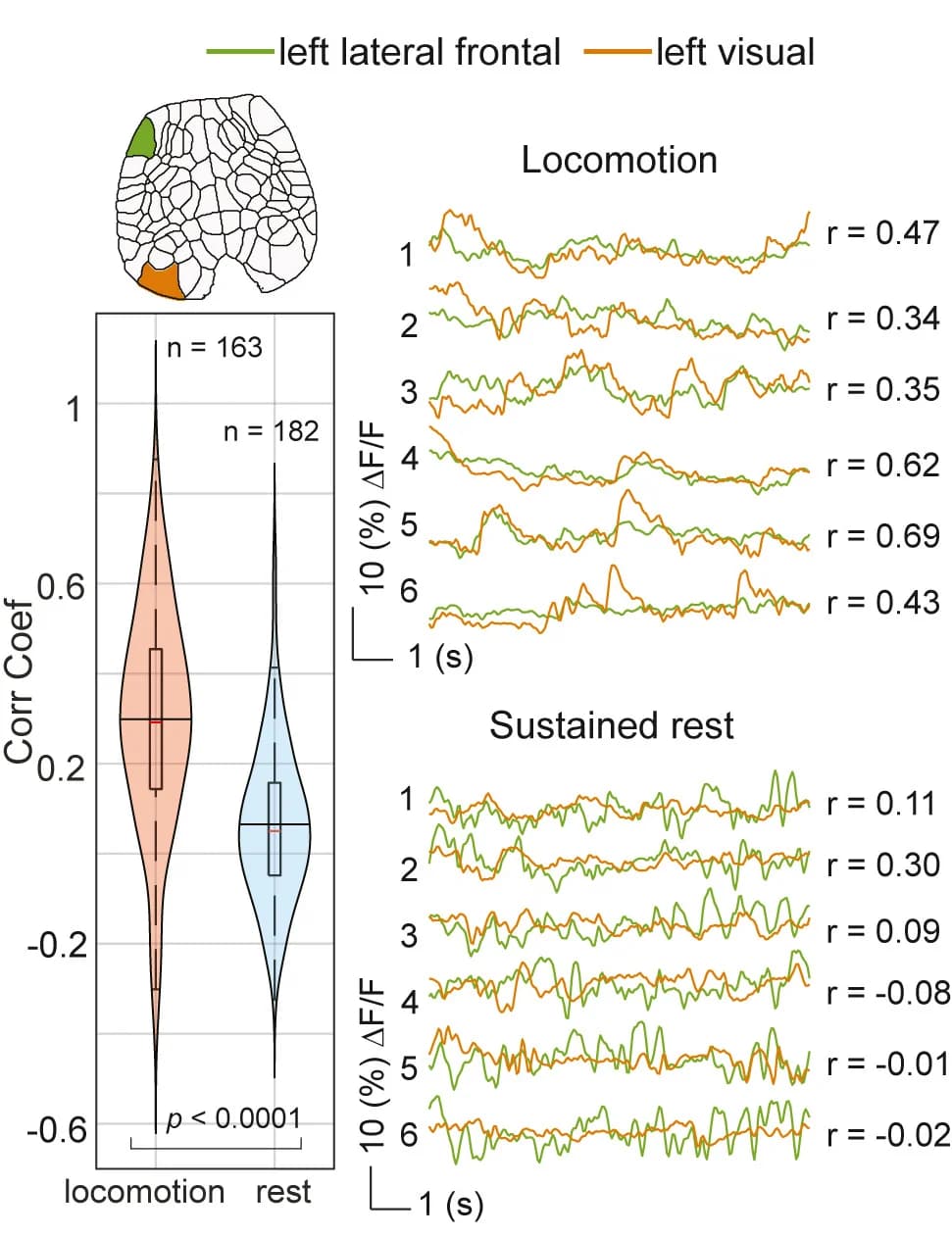 Open access visualization of Violin Plot, Box Plot, Line Plot, Rest, Correlation