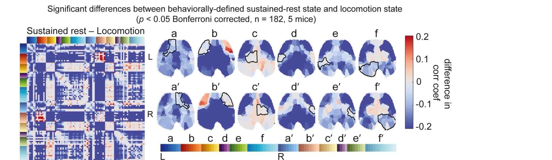 Open access visualization of Heatmap, Correlation, Rest, Locomotion