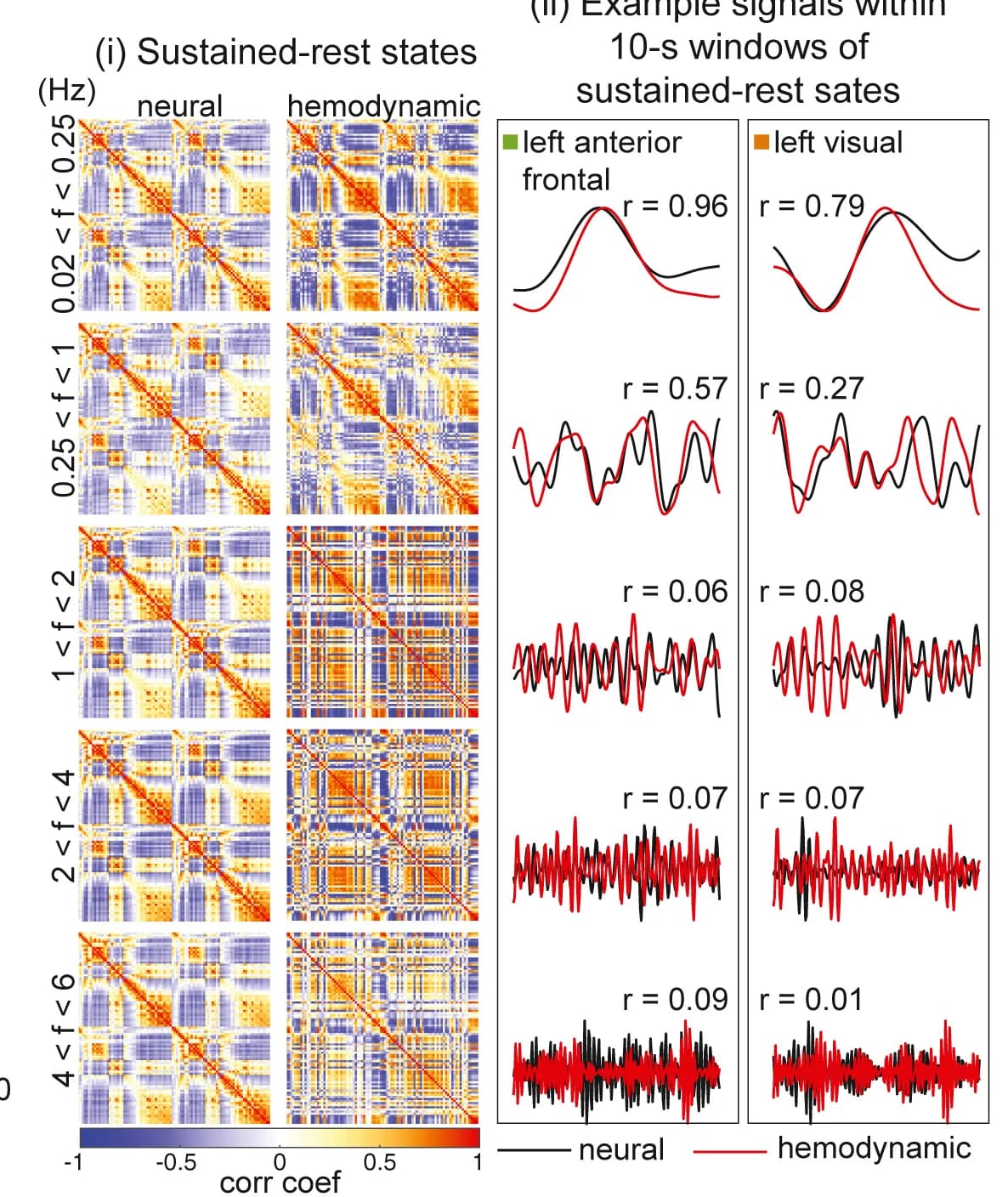 Open access visualization of Heatmap, Line Plot, Neural Signals, Hemodynamic Signals, Correlation Maps