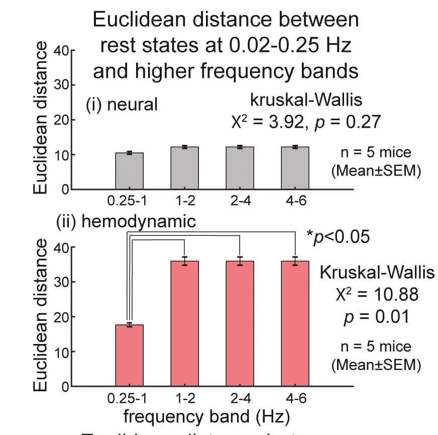 Open access visualization of Bar Plot, Error Bars, Euclidean Distance, Correlation Maps, Frequency Bands