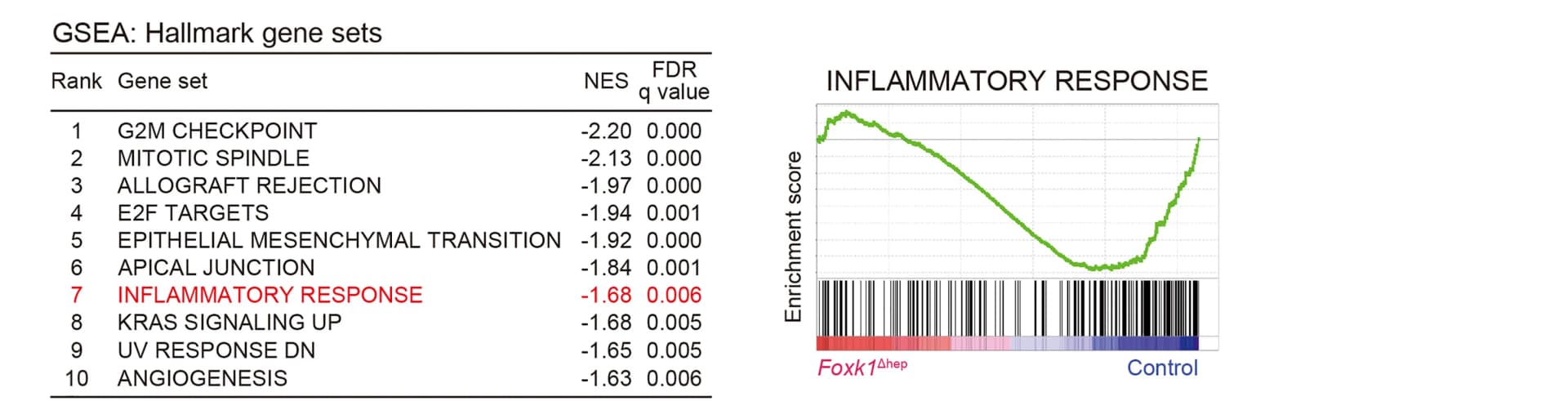 Open access visualization of Line Plot, GSEA, Downregulated Genes, Liver Tissue, Foxk1Δhep Mice