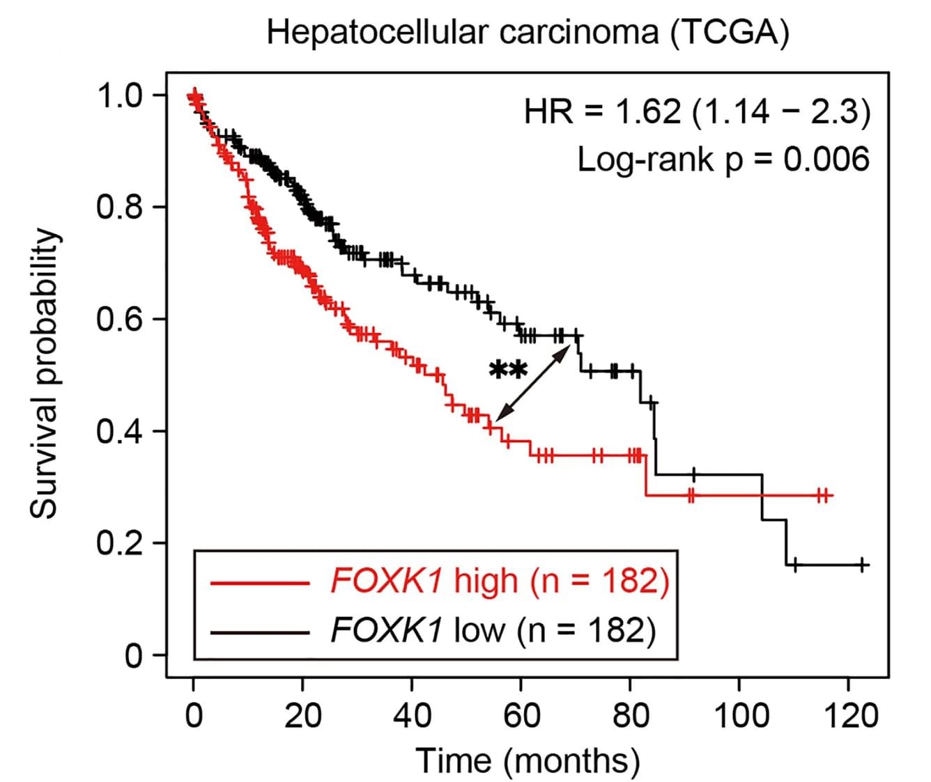 Open access visualization of Survival Curve, Survival Curves, HCC Patients, FOXK1 expression, TCGA-LIHC dataset