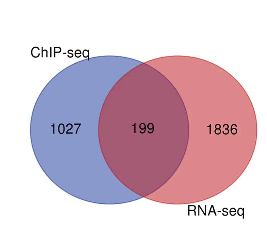 Open access visualization of Venn Diagram, Differentially Expressed Genes, RNA-Seq, FOXK1 Target Genes, ChIP-Seq
