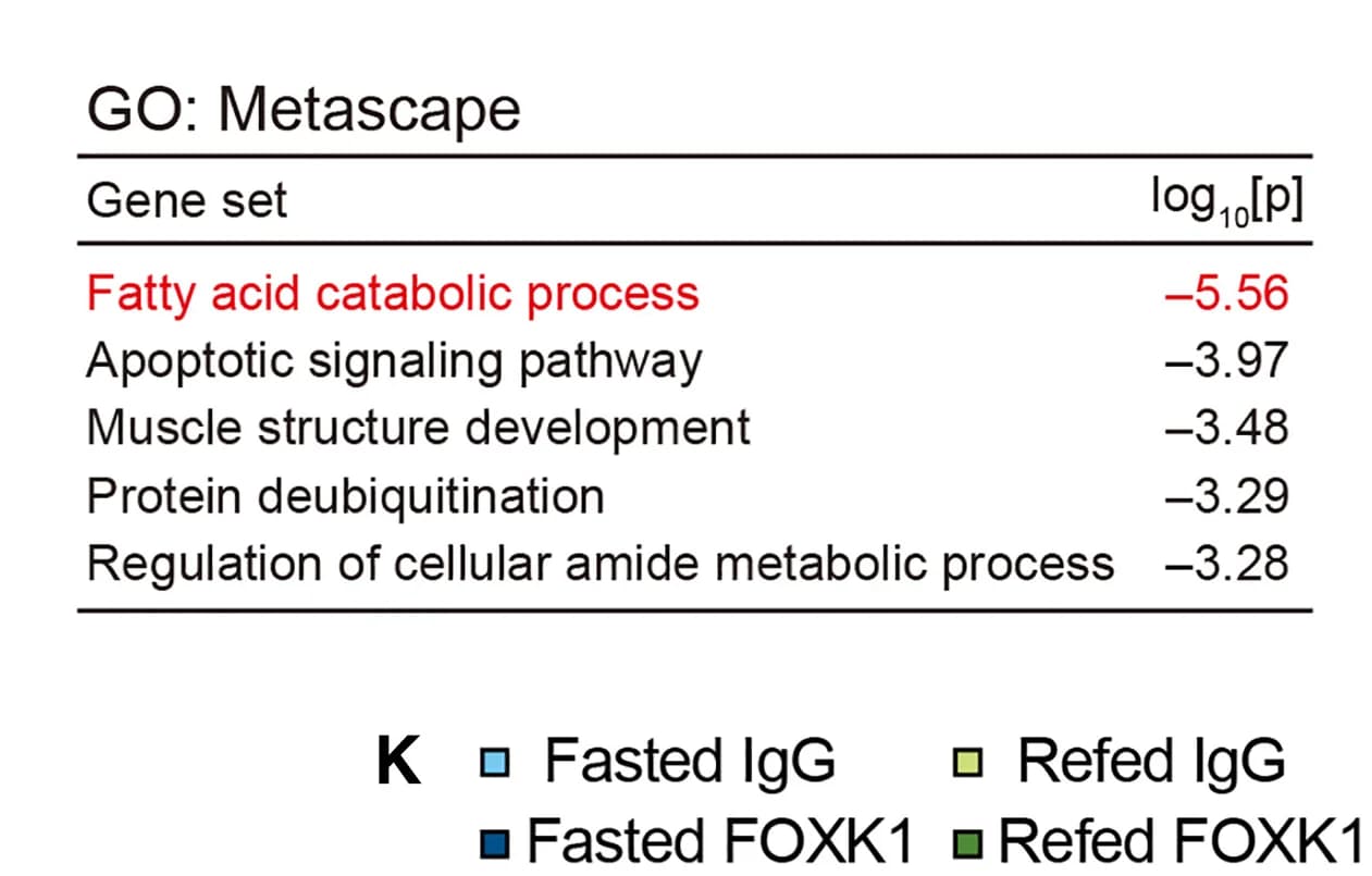 Open access visualization of Table Image, GO Analysis, Overlapping Genes