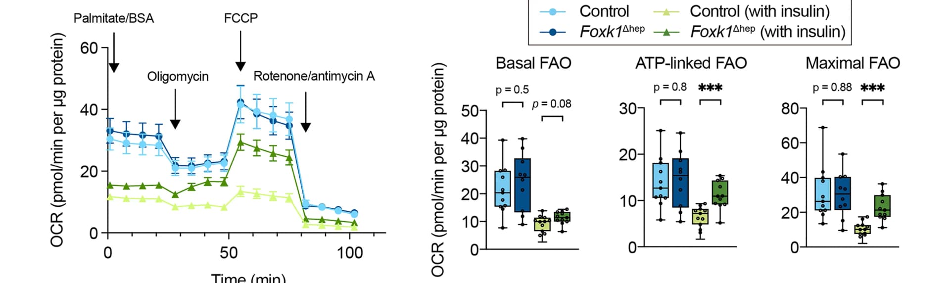 Open access visualization of Line Plot, Error Bars, Box Plot, Fatty acid oxidation, Insulin