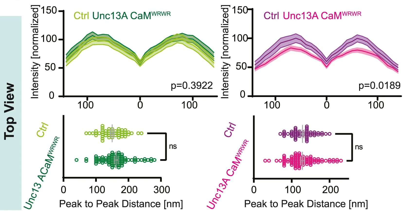 Open access visualization of Line Plot, Scatter Plot, Error Bars, Fluorescence Line Profiles, BRP