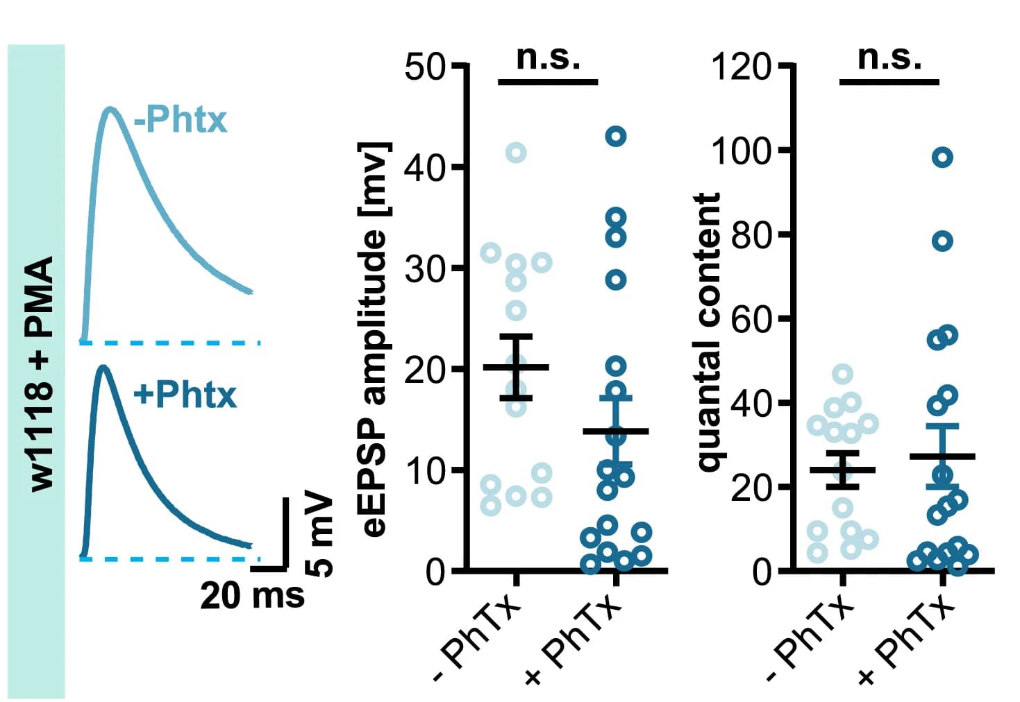 Open access visualization of Scatter Plot, Error Bars, Line Plot, Current Clamp Recordings, NMJs