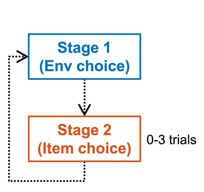 Open access visualization of Workflow, Flowchart, Environment choice, Item choice, Trial structure