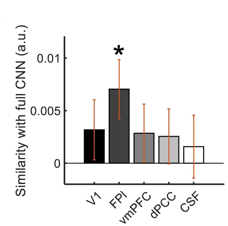 Open access visualization of Bar Plot, Error Bars, RSA, CNN, FPl