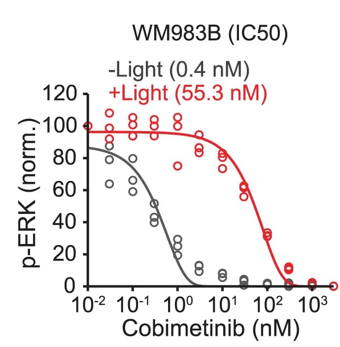 Open access visualization of Scatter Plot, Regression Plot, p-ERK Levels, WM983B Cells, Cobimetinib