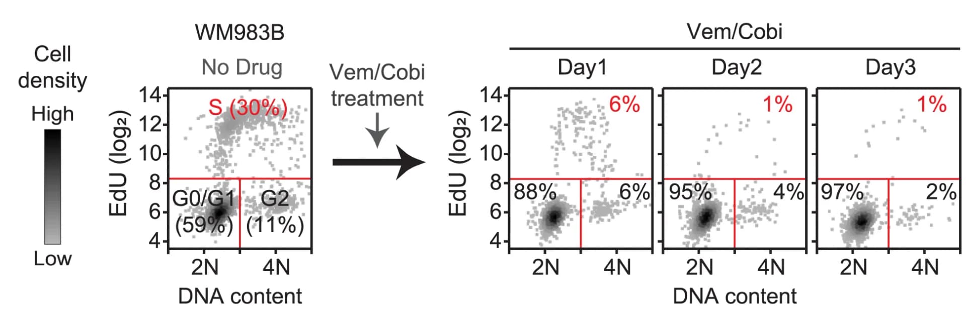 Open access visualization of Scatter Plot, Hoechst Staining, EdU Staining, Cell Density