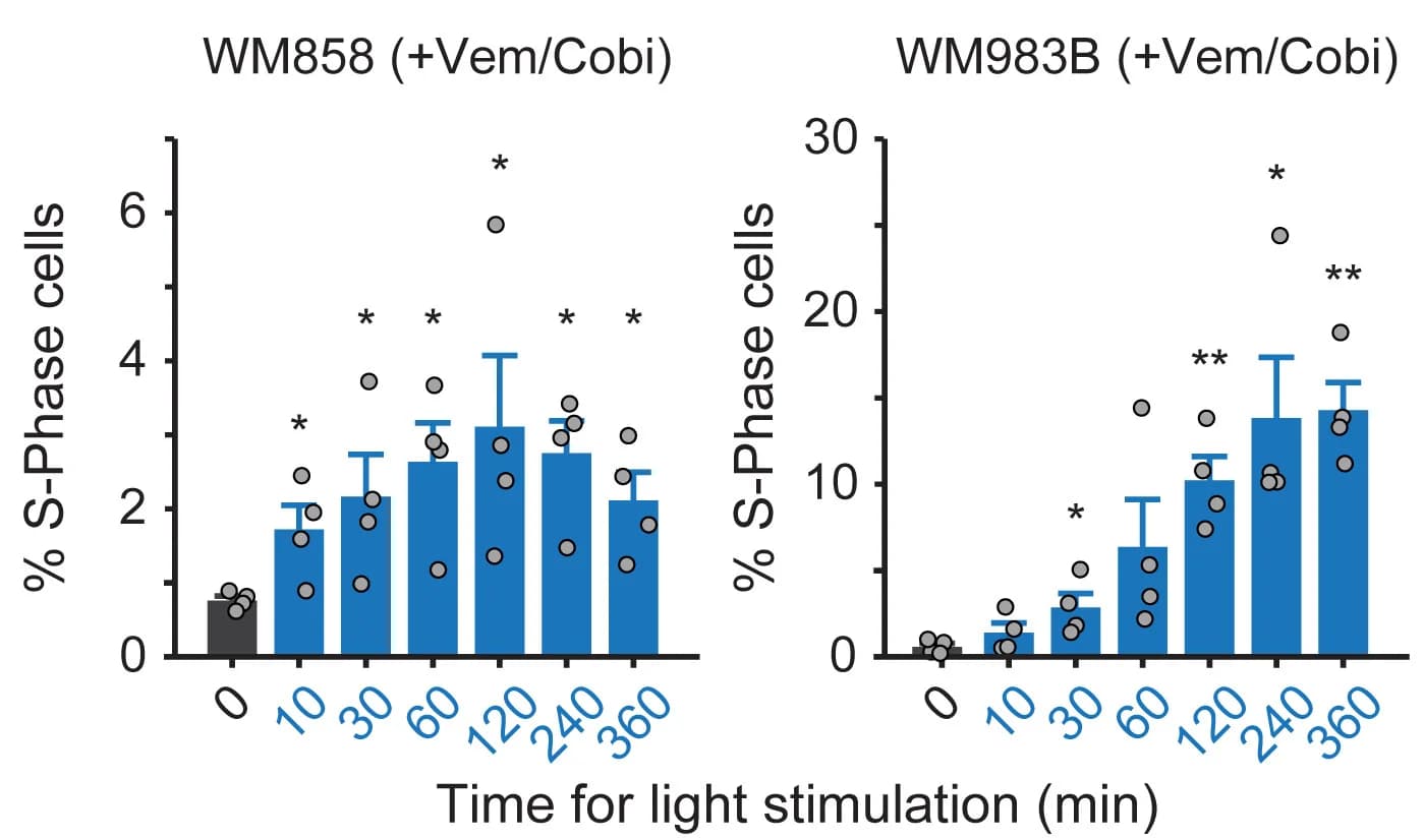 Open access visualization of Bar Plot, Error Bars, S-Phase Cells, WM858 Cells, WM983B Cells