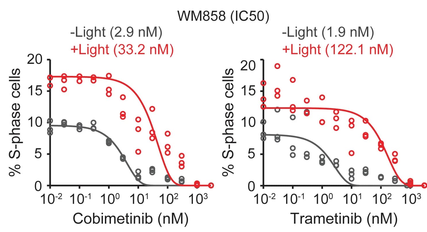 Open access visualization of Scatter Plot, Line Plot, Dose-Response Analysis, S-Phase Cells, WM858 Cells
