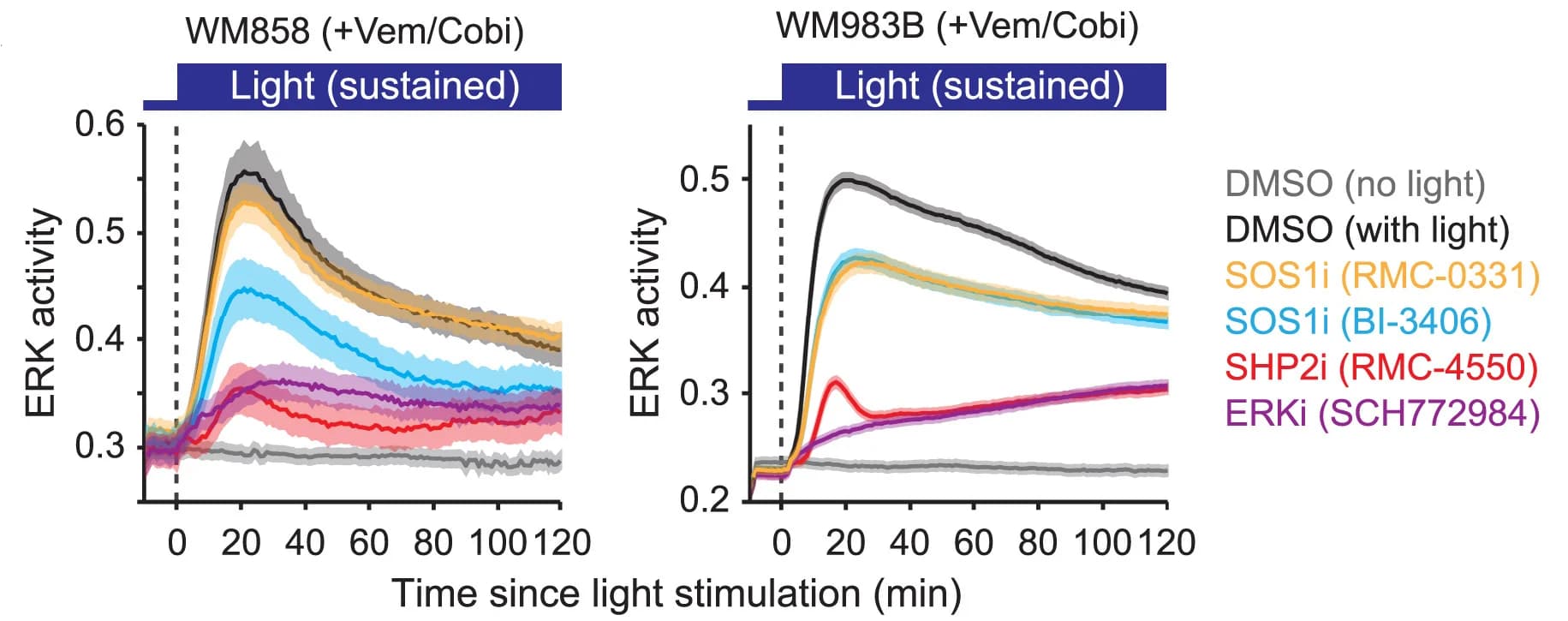 Open access visualization of Line Plot, Error Bars, ERK Activity, Opto-RTK, WM858 Cells