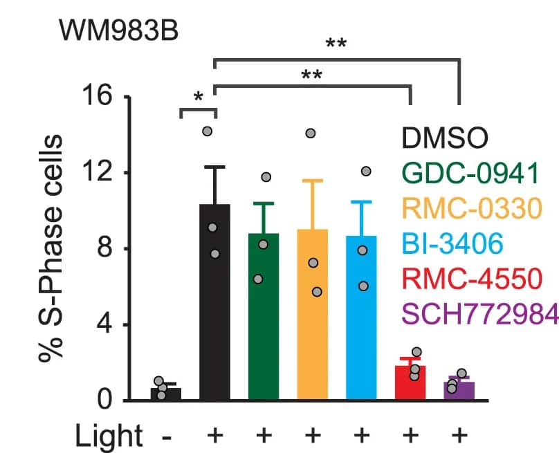 Open access visualization of Bar Plot, Error Bars, S-Phase Cells, ANOVA