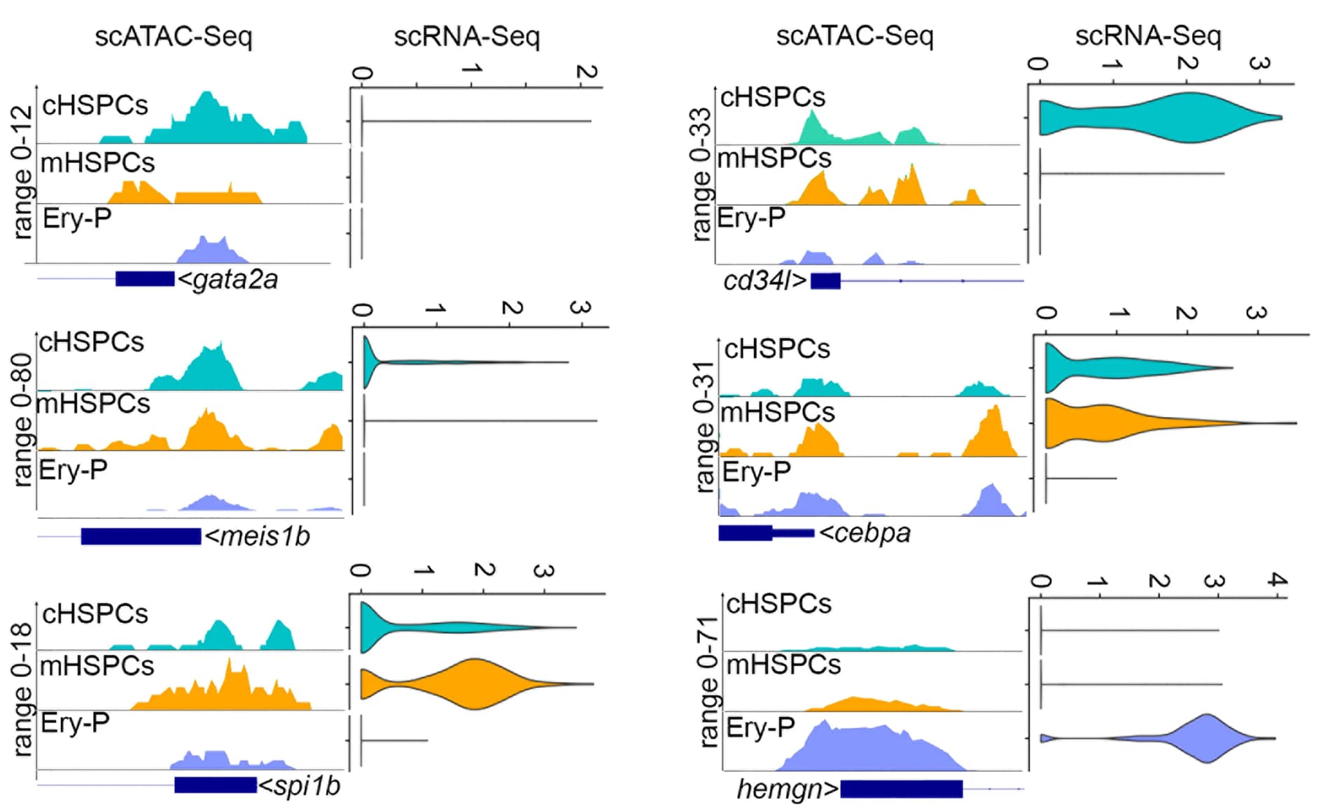 Open access visualization of Line Plot, Violin Plot, Chromatin Accessibility, Promoter Regions, scATAC-seq