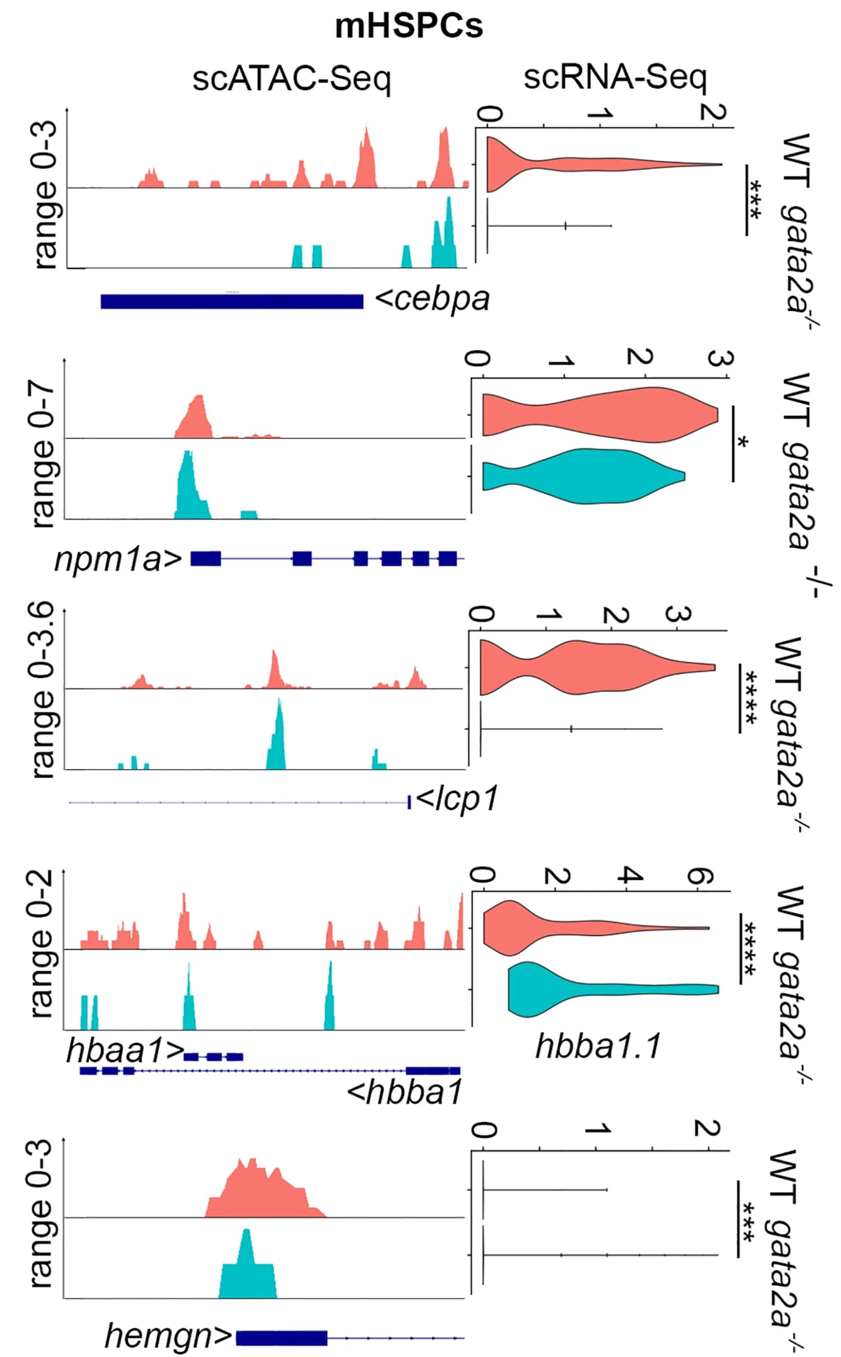 Open access visualization of Line Plot, Violin Plot, Chromatin Accessibility, Promoter Regions, scATAC-seq